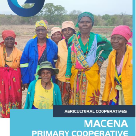 Macena primary cooperative